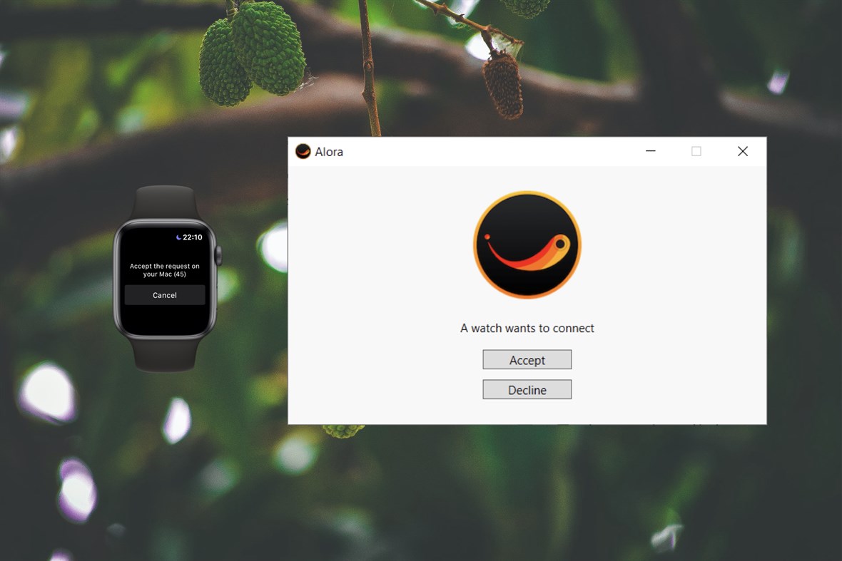 #4. Alora Desktop (Windows) De: Egbert-Jan Terpstra