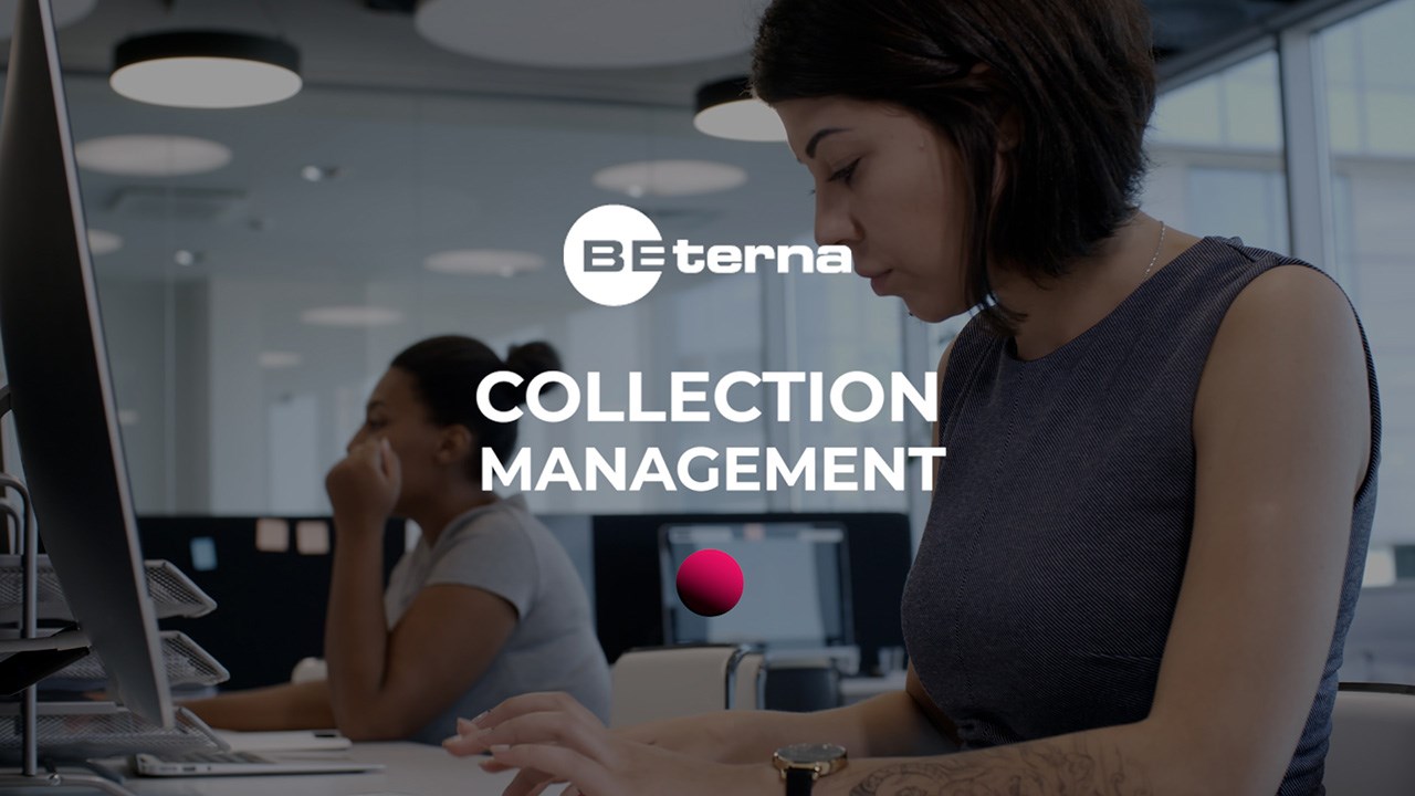 Snapshot 1 of BE-terna Collection Management