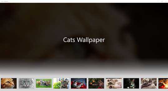 Cats wallpapers screenshot 1