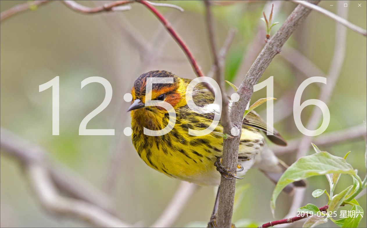 #1. 时钟工具 (Windows) 由: 时光未苒