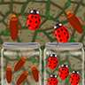 Insect Sort Puzzle Game