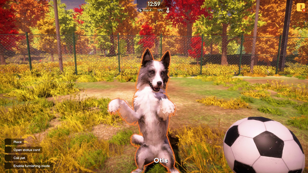 Animal Shelter 2 screenshot 1