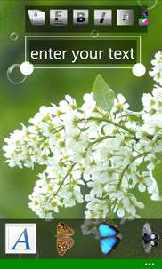Text on photo: flowers screenshot 4