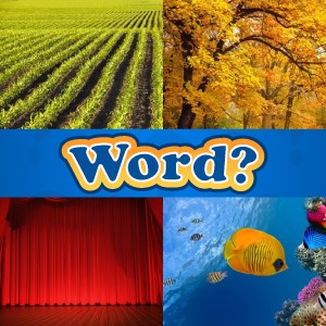 What's the Word?