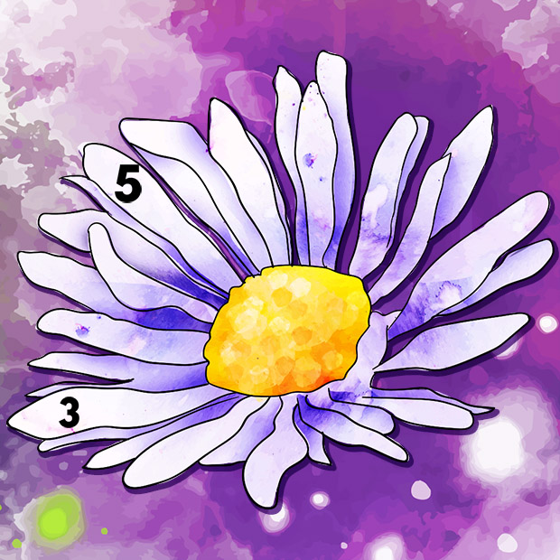WaterColors Paint by Number