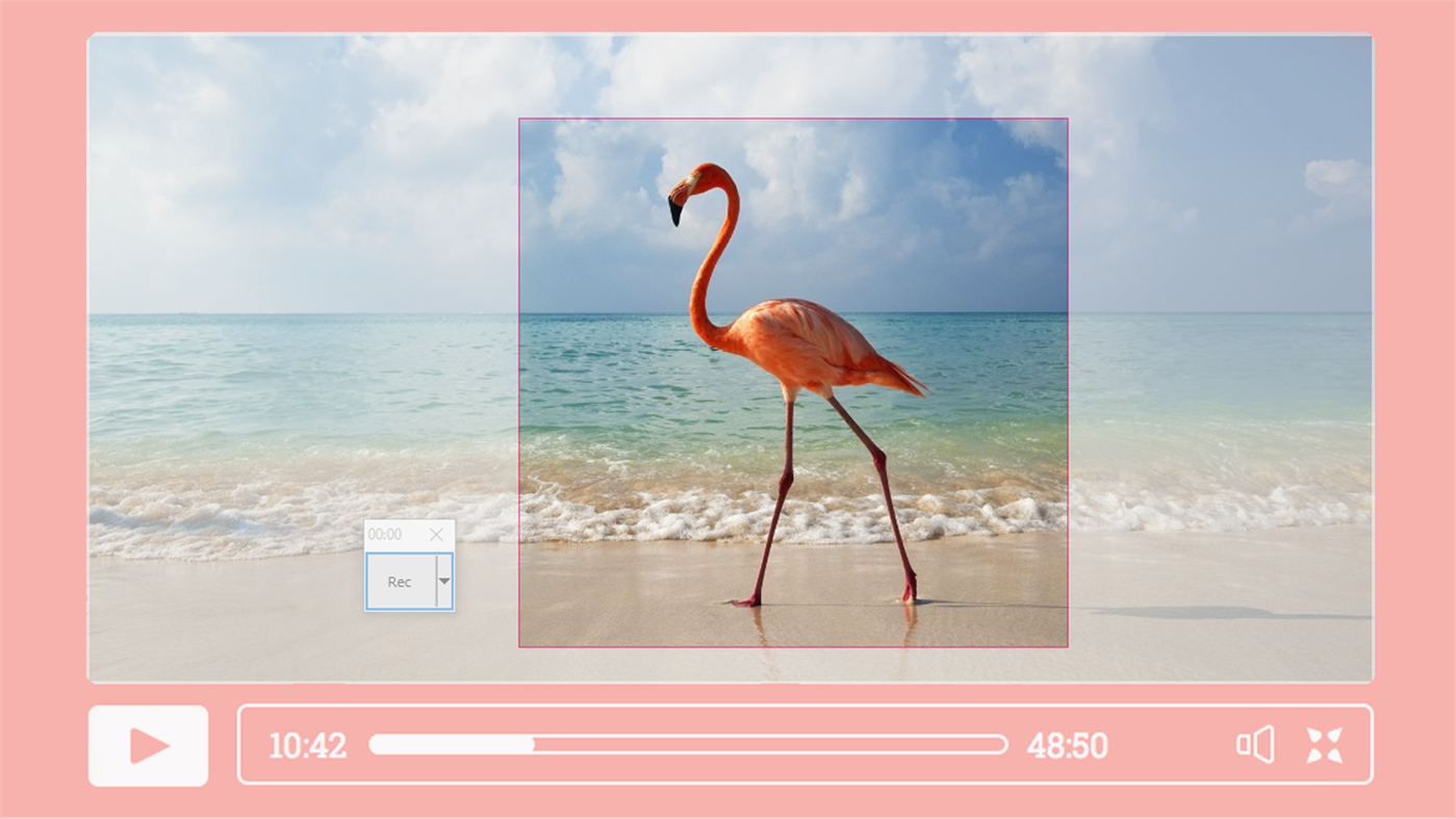 #3. RecButton (Windows) От: BahraniApps
