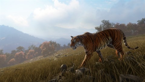 theHunter: Call of the Wild™ - Sundarpatan Nepal Hunting Reserve