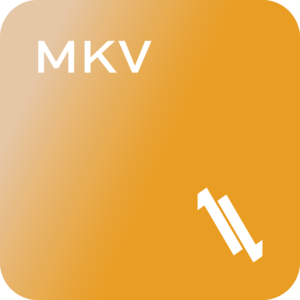 LL MKV Converter - MKV to MP4