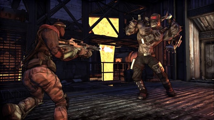Borderlands — скриншот 20