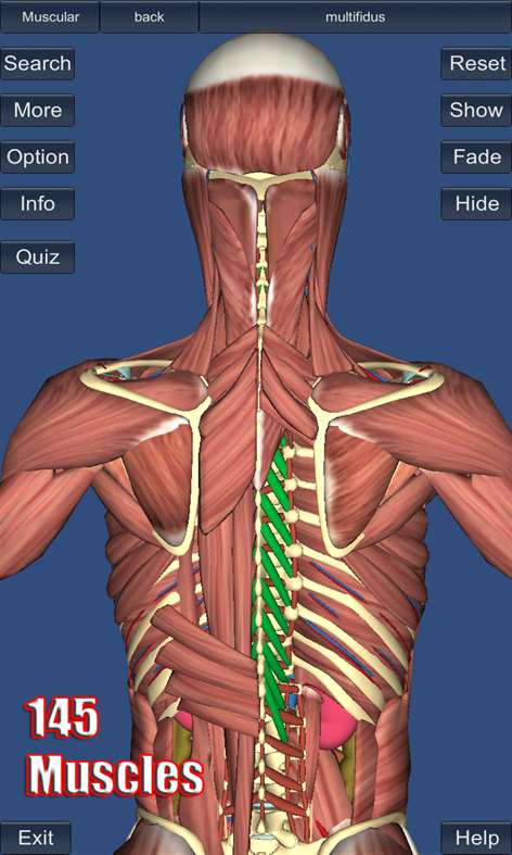 3D Anatomy Screenshots 2