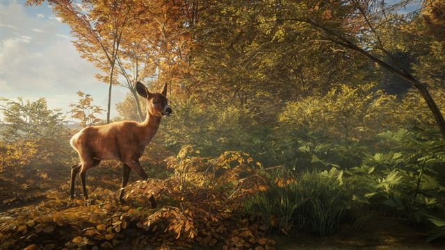 theHunter: Call of the Wild™ - Windows 10 screenshot 12