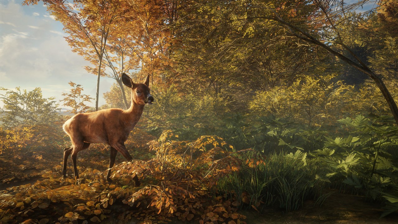 theHunter: Call of the Wild™ - Windows 10 screenshot 12