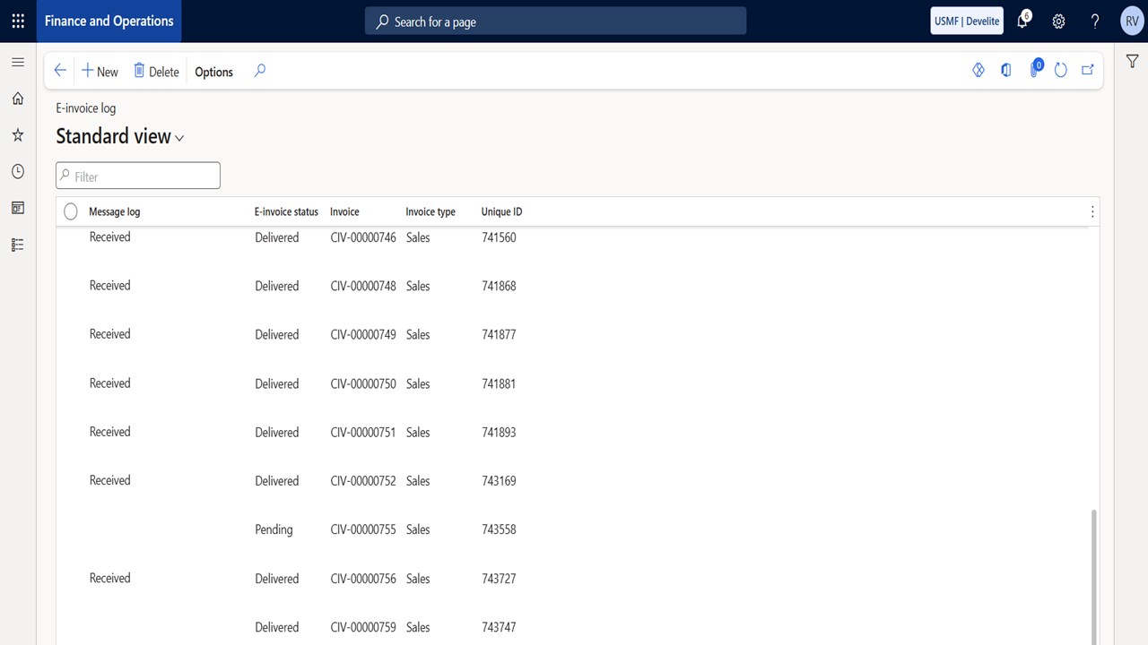 Snapshot 3 of DevElite E-invoicing