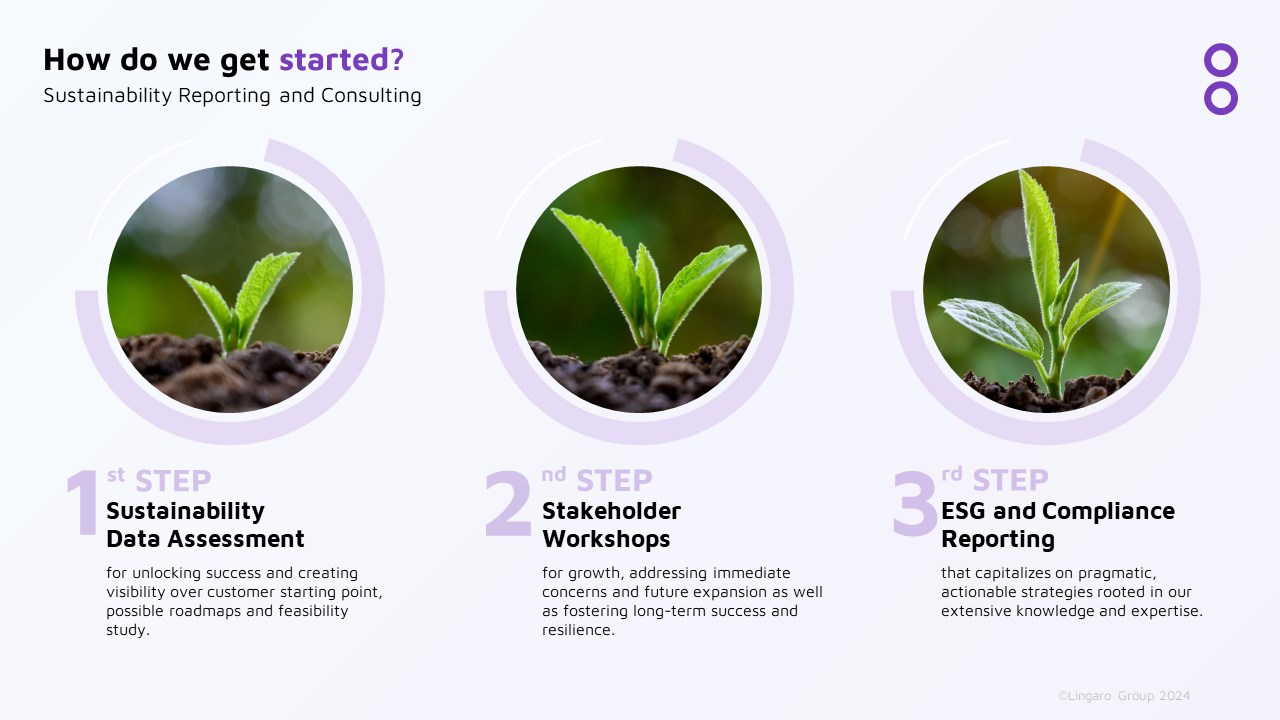 Snapshot 2 of Sustainability Reporting: US SEC