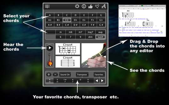120 Mandolin Chords screenshot 1