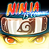 Ninja World