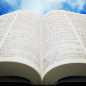 KJV-NIV Bible