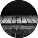 Marimba Wallpaper New Tab icon