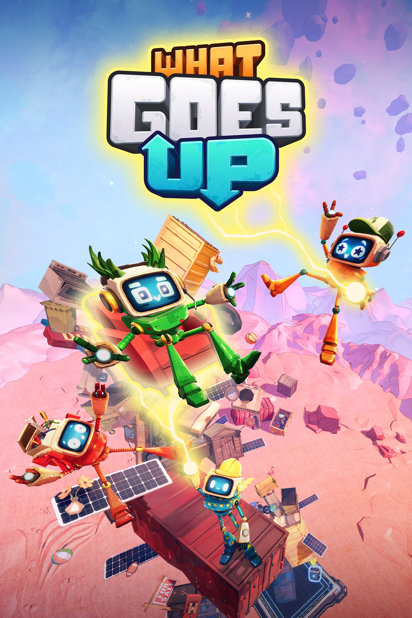 What Goes Up