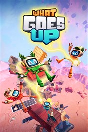 What Goes Up