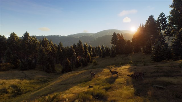 Way of the Hunter screenshot 4