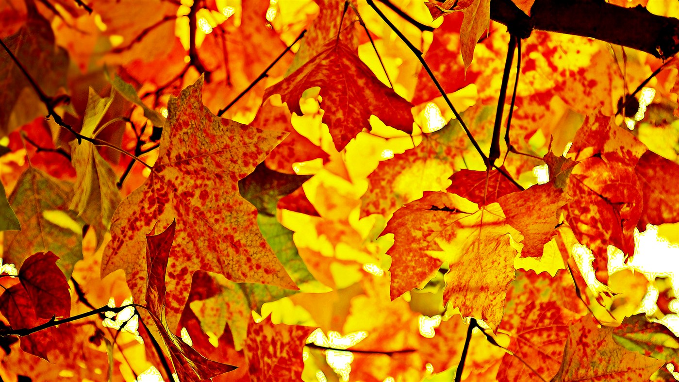 #2. Your Wpaps 3 (Windows) 由: peterolah