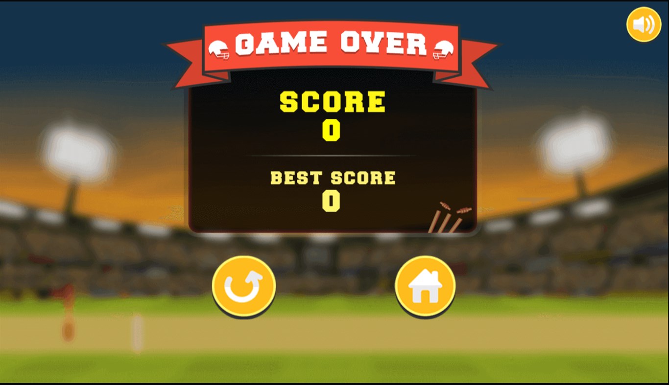 #3. City Cricket (Windows) By: Advergame Technologies Private Limited