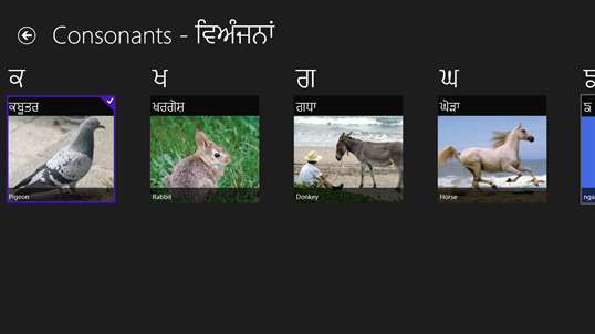 Learn Punjabi screenshot 4