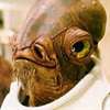 SW - Admiral Ackbar