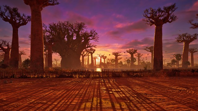 TEKKEN 8 - BAOBAB HORIZON screenshot 1