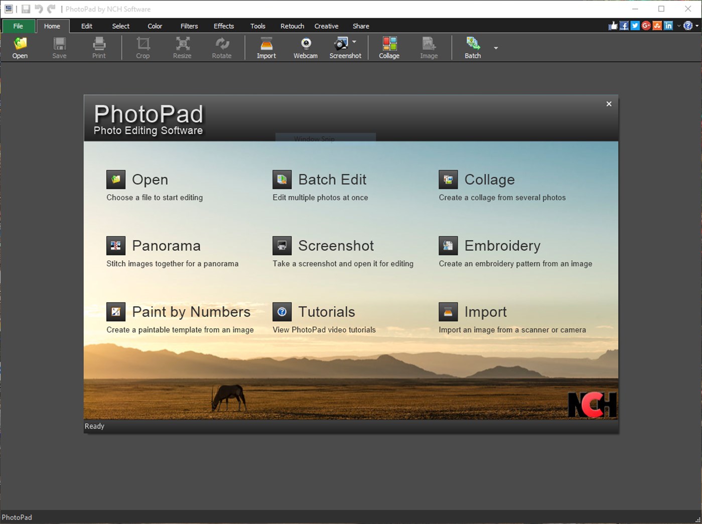 NCH PhotoPad Image Editor 11.47 download the new version for windows