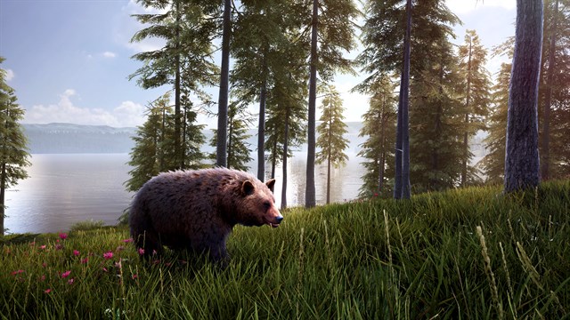 Hunting Simulator 2 - Bear Hunter Pack Xbox Series X|S screenshot 1