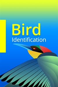 Bird Identification
