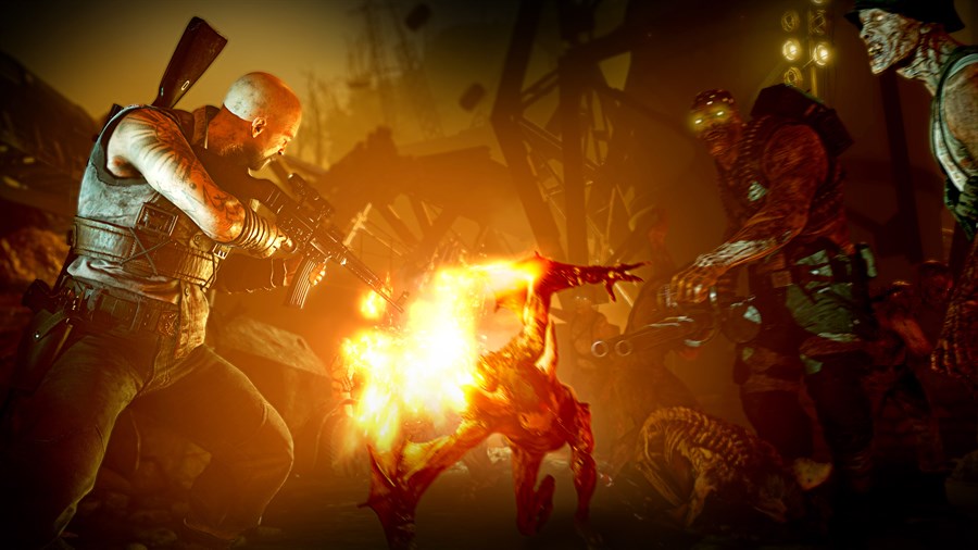 Full Size Image