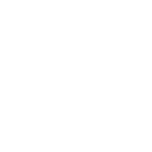 Image Printer logo