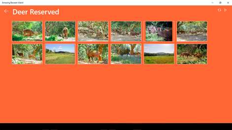 Amazing Bawean Island Screenshots 2