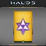 Halo 5: Guardians – Mythic Warzone REQ Pack