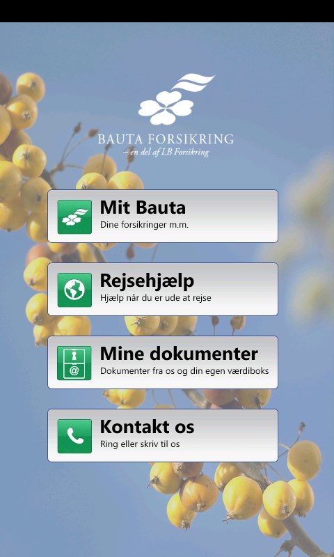 Bauta App for Windows 10 Mobile