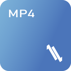 LL MP4 Converter