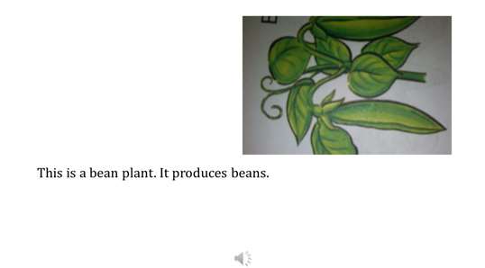 Plants screenshot 3