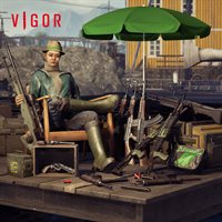 Vigor - Heatwave Havoc Pack