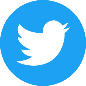 Get your Twitter bird