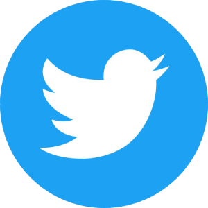 Get your Twitter bird icon