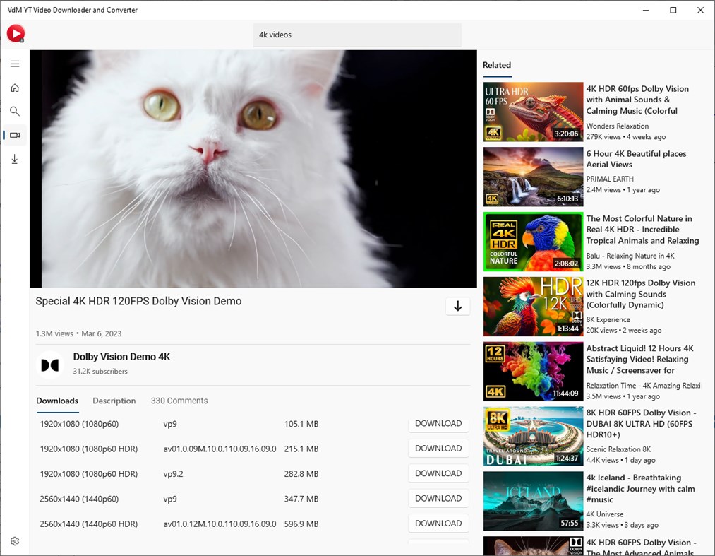 #5. VDM Video & MP3 Downloader and Converter (Windows) By: Hoang Thi To Uyen
