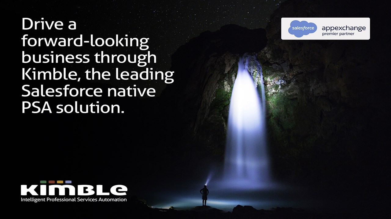 Snapshot 4 of Kimble Professional Services Automation (PSA)