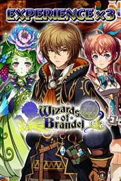 Experience x3 - Wizards of Brandel