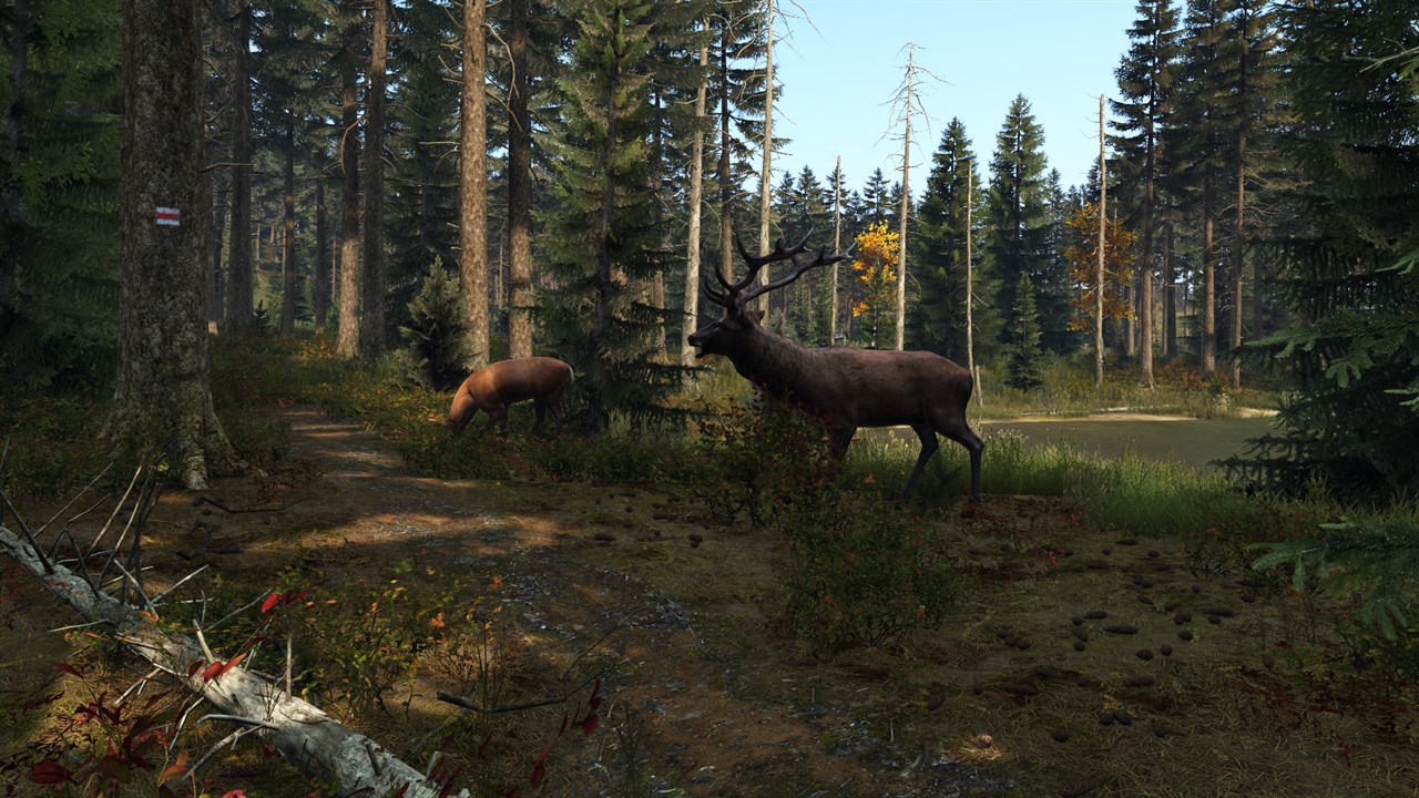 DayZ - Experimental screenshot 1
