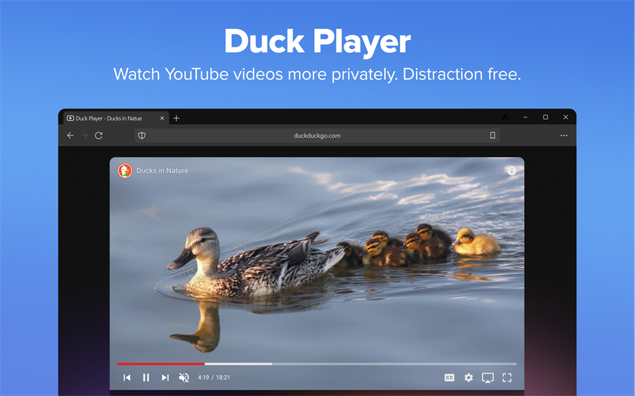 DuckDuckGo, Duck.ai (optional)_6