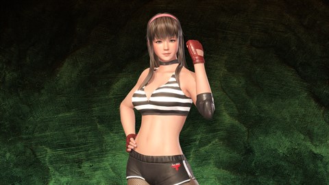 DOA6 デラックスコスチューム（ヒトミ）