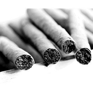 Cigar Walker 10